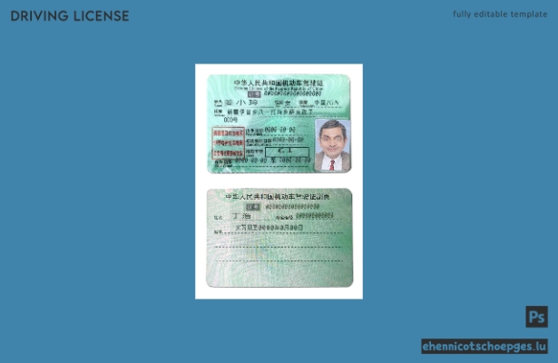 China DL Beispielvorschau